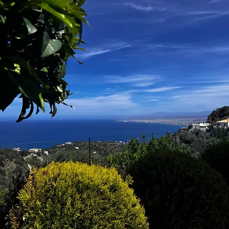 Villa Artemis, Wine Dark Sea